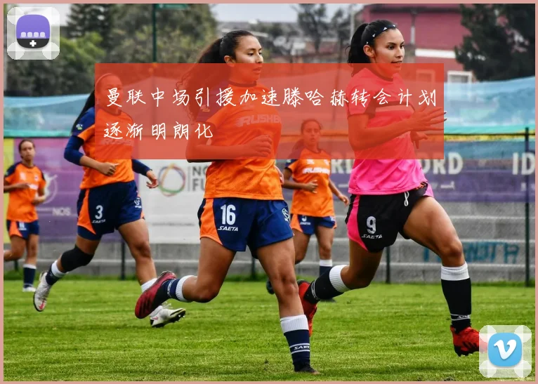 曼联中场引援加速滕哈赫转会计划逐渐明朗化